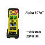 阿尔法600系列-Alpha 607AT (433MHz)
