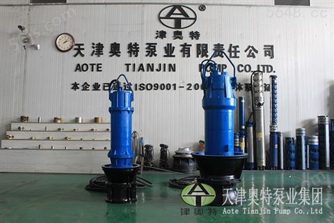 饮水工程-潜水轴流泵-天津津奥特厂家